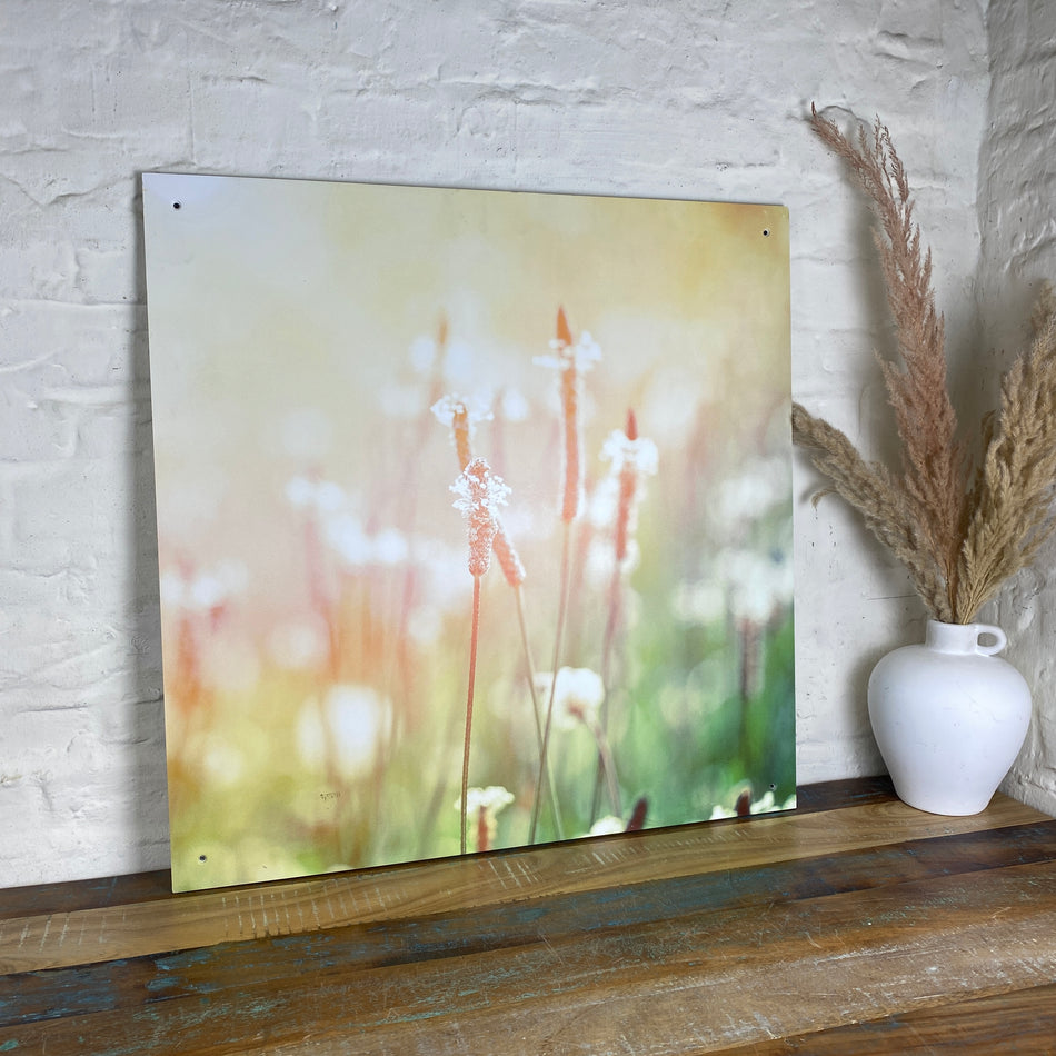 Bild Spitzwegerich 70x70 Wandbild Deko Fotodruck Natur