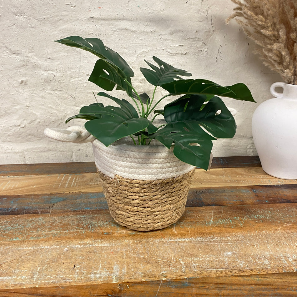 Blois Korb Blumentopf beige weiß 16cm mit Beschichtung