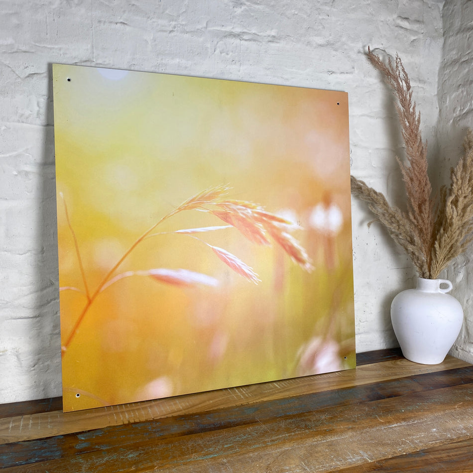 Bild Weizen 70x70 Wandbild Deko Fotodruck Natur
