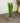Künstlicher Kaktus Cactaceae grün silbern Kunststoff 95cm