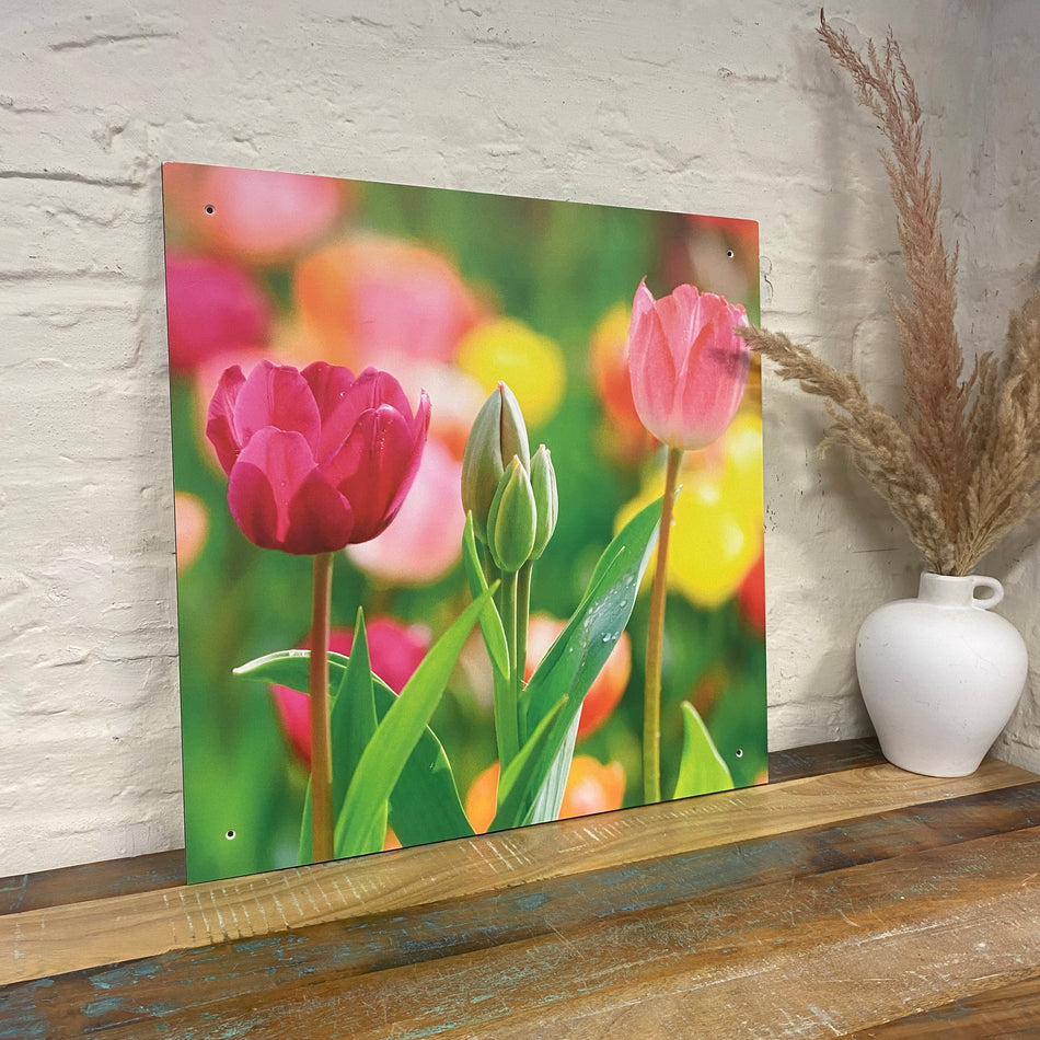 Bild Tulpe 60x60 pink Wandbild Deko Fotodruck Natur