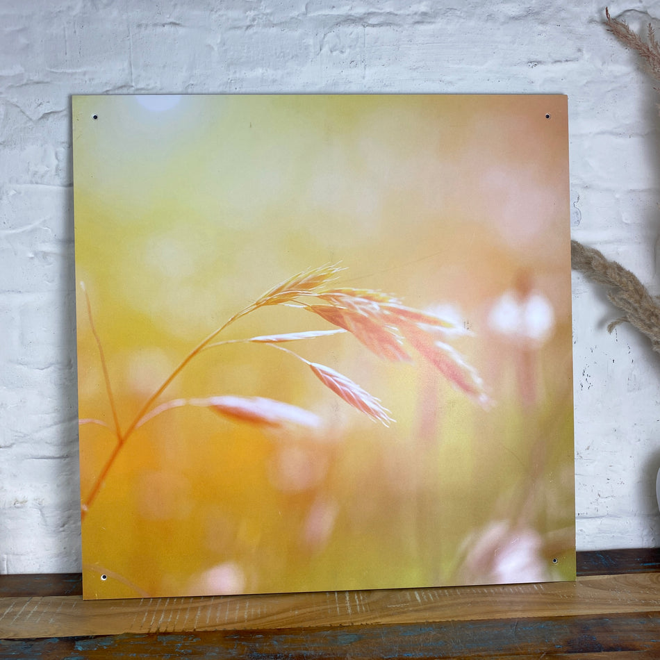 Bild Weizen 70x70 Wandbild Deko Fotodruck Natur