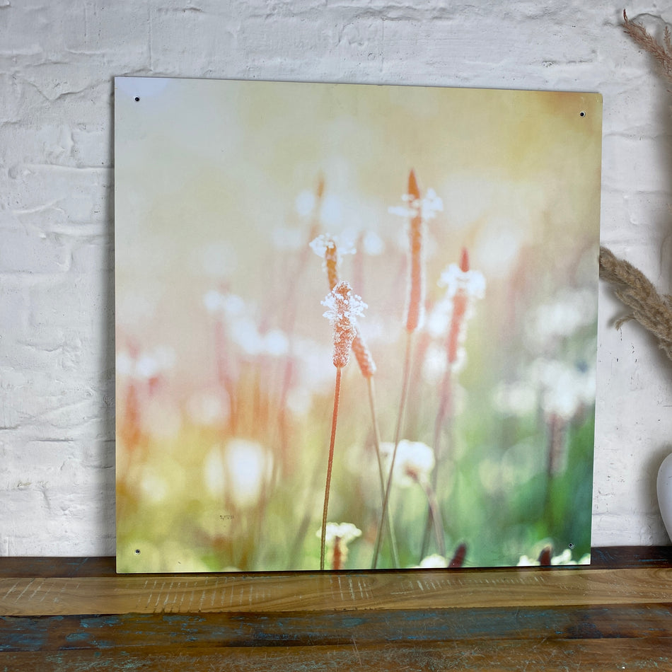 Bild Spitzwegerich 70x70 Wandbild Deko Fotodruck Natur