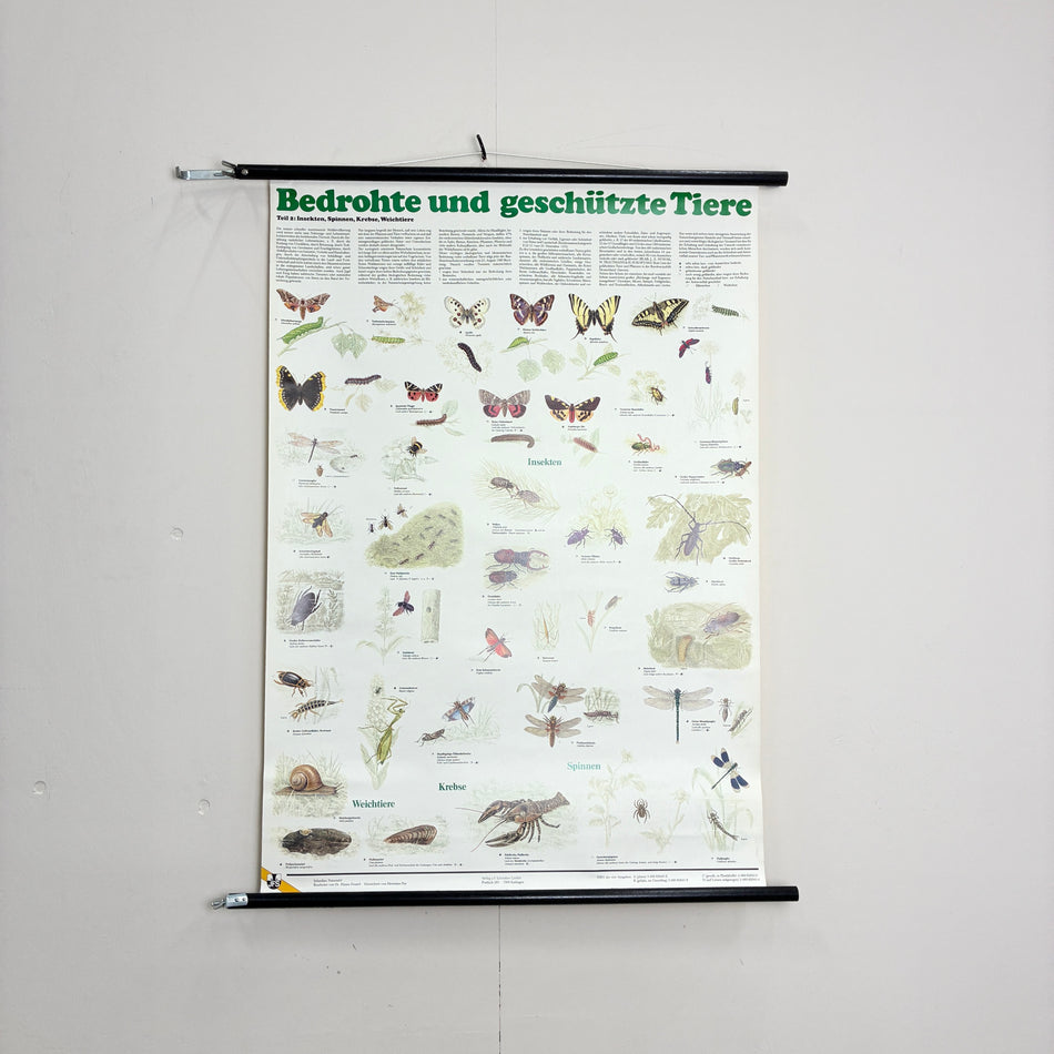 Vintage Schulkarte Bedrohte und geschützte Tiere Biologie Rollbild Schreiber Lehrtafel Wanddeko