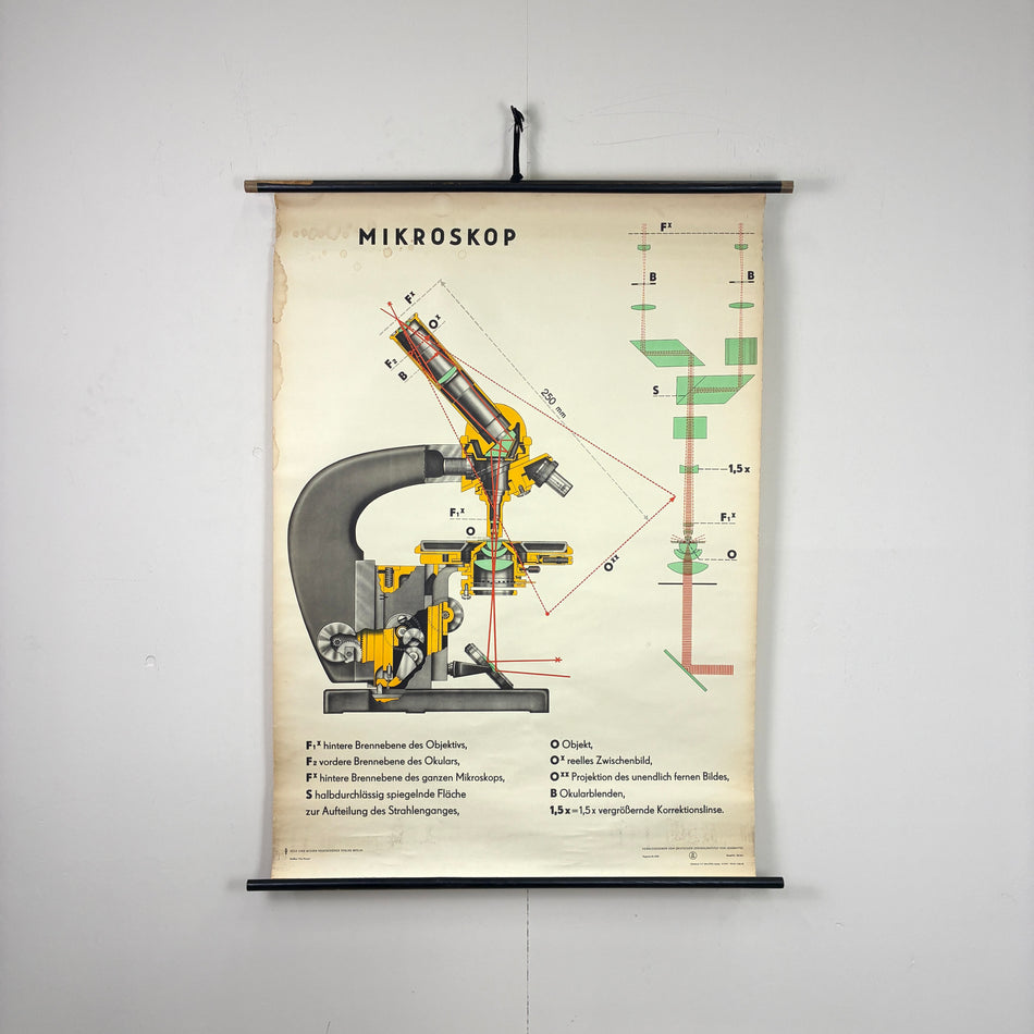 Vintage Schulkarte – Mikroskop – Physik Lehrtafel Rollbild Wanddeko