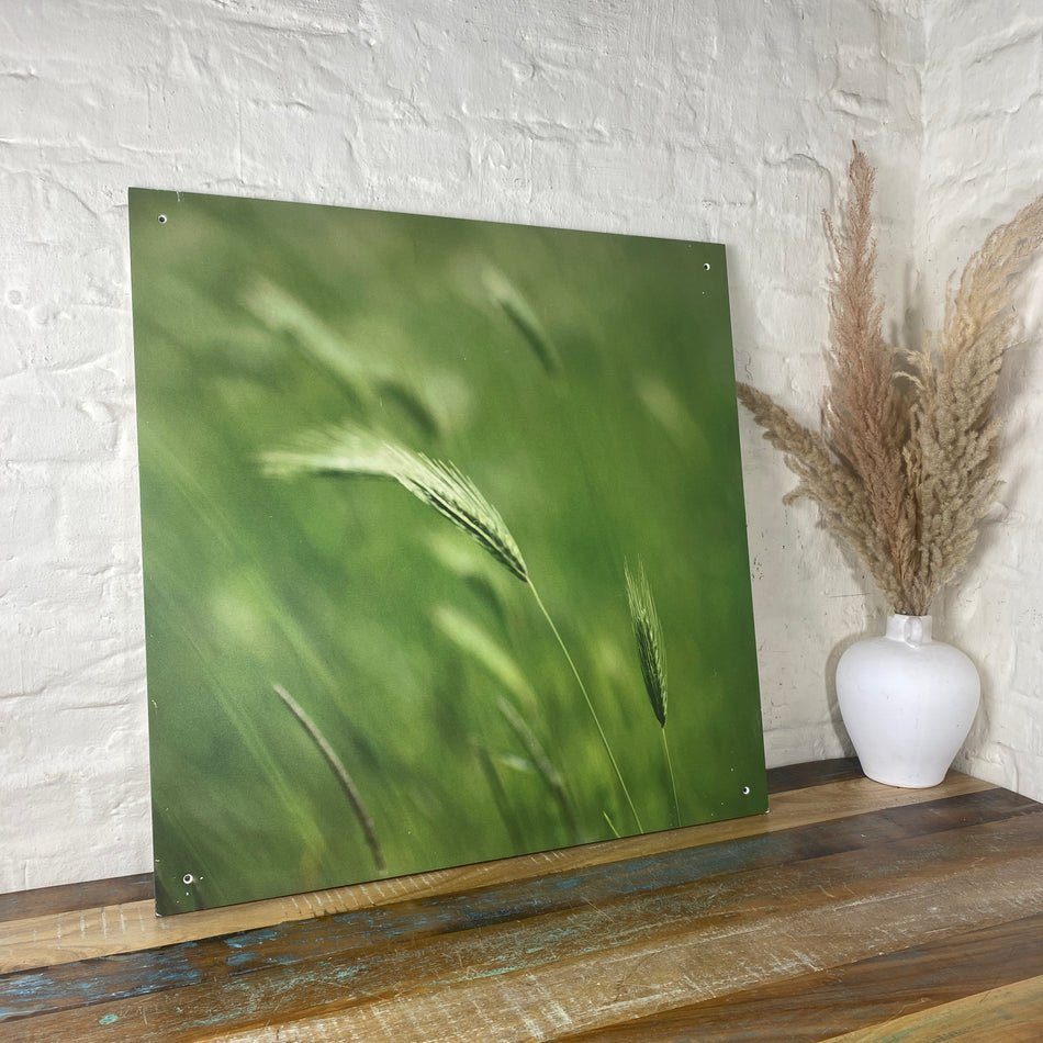 Bild Gerste 70x70 Wandbild Deko Fotodruck Natur
