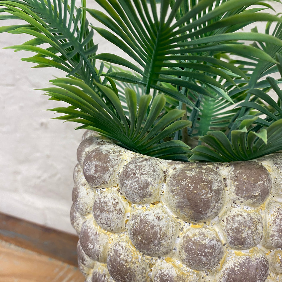 PTMD Ruis Blumentopf creme Zement Übertopf