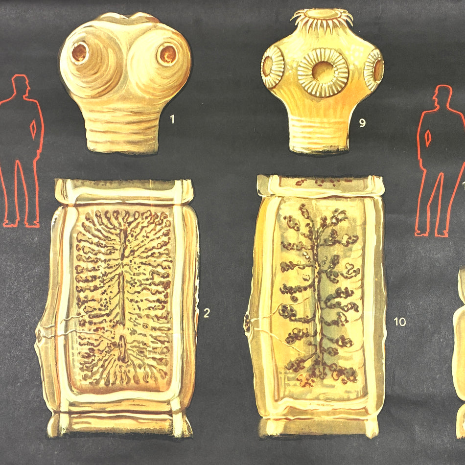 Vintage Schulkarte – Antike Kulturen (Sumer) – Geschichts-Lehrtafel Rollbild Wanddeko