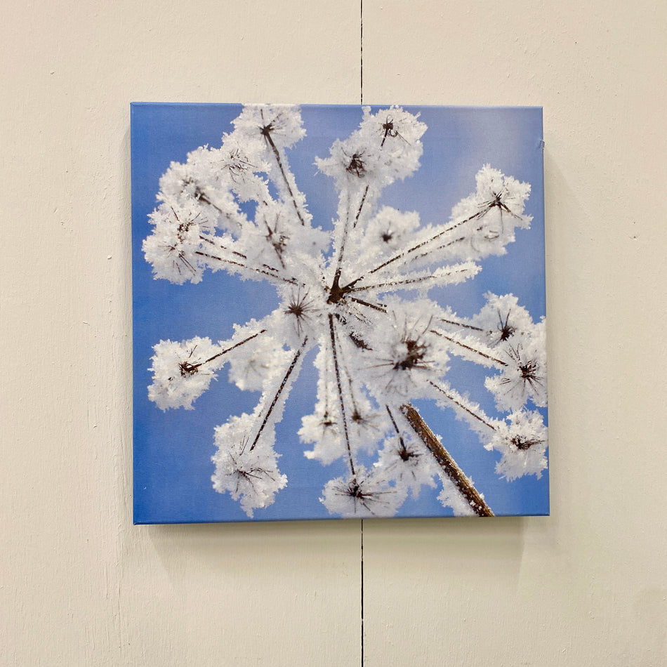 Wandbild Frost Blume Winter Leinwand Naturmotiv Fotodruck Deko Gebraucht