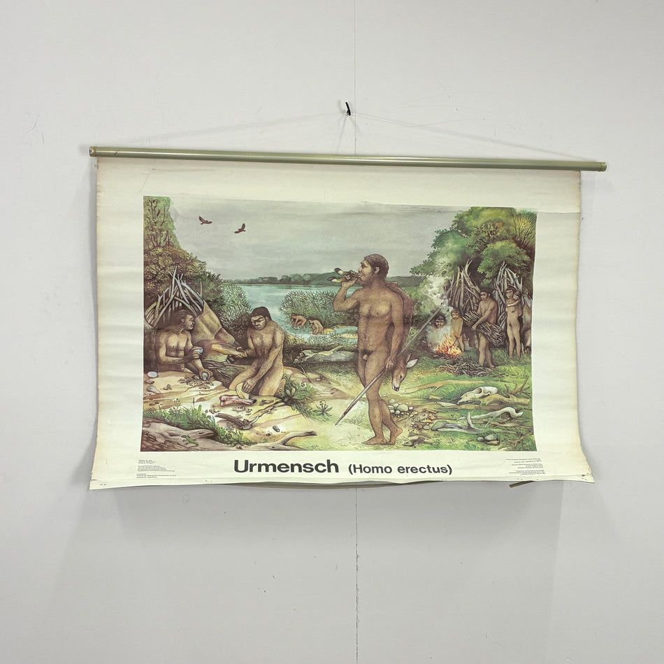 Vintage Schulwandkarte „Urmensch (Homo erectus)“ – Lehrtafel Rollbild Wanddeko