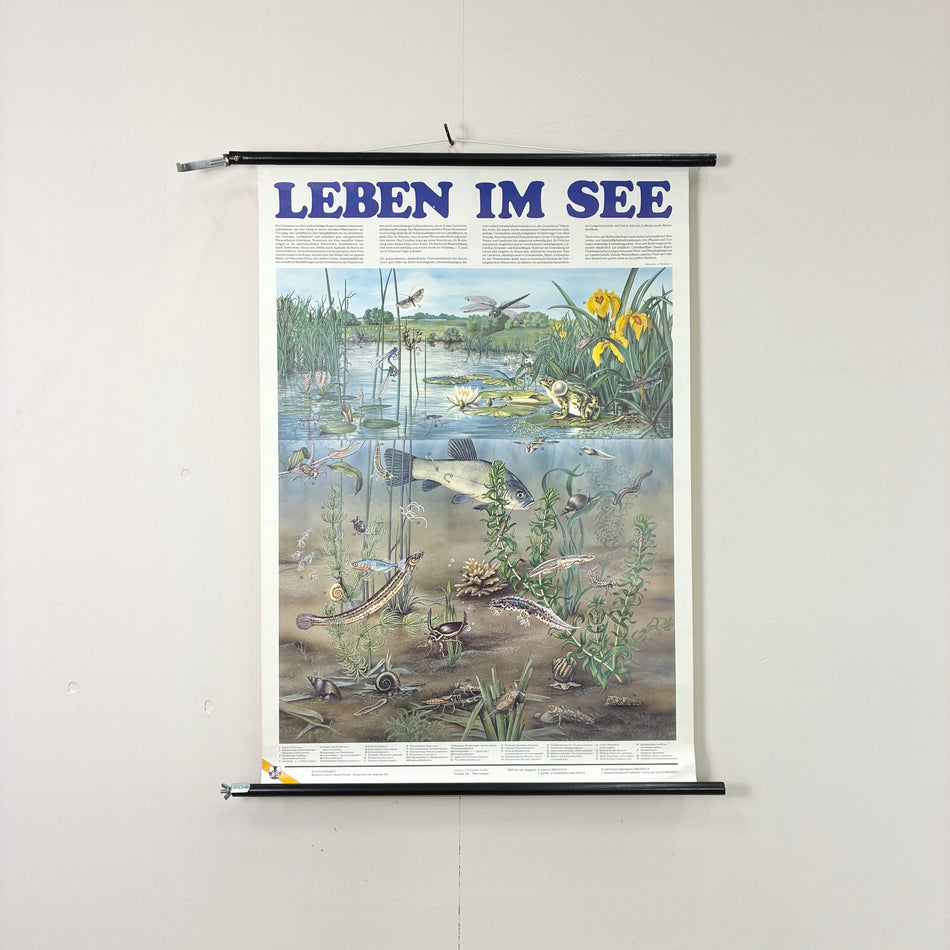 Vintage Schulkarte - Leben im See - Rollbild Lehrtafel Wanddeko