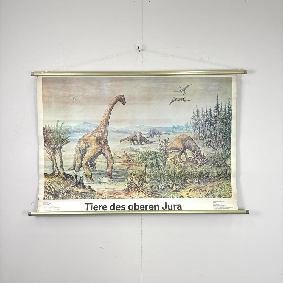 Vintage Schulkarte – Tiere des oberen Jura – Paläontologie Lehrtafel Rollbild Wanddeko