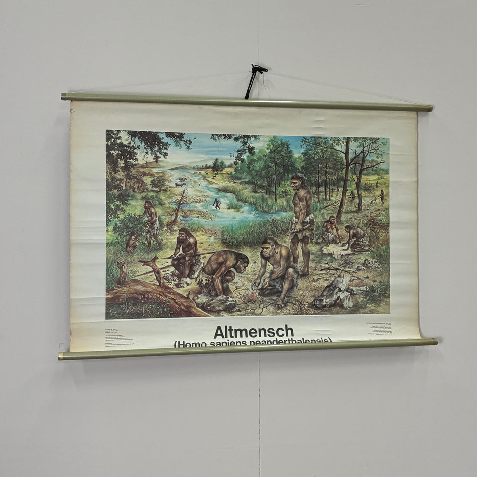 Vintage Schulkarte Altmensch Neandertaler Steinzeit Rollbild DDR Wanddeko