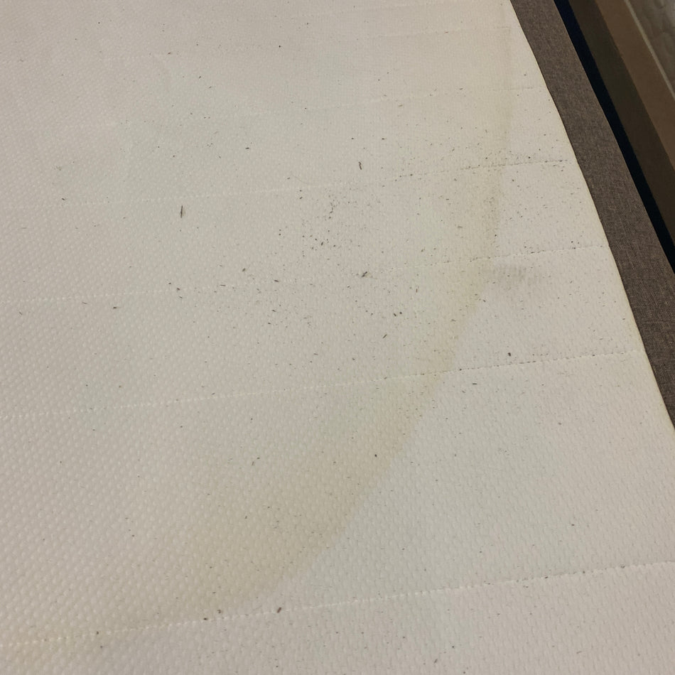 Boxspringbett braun 90x200 mit Matratze - Bett gebraucht Einzelbett