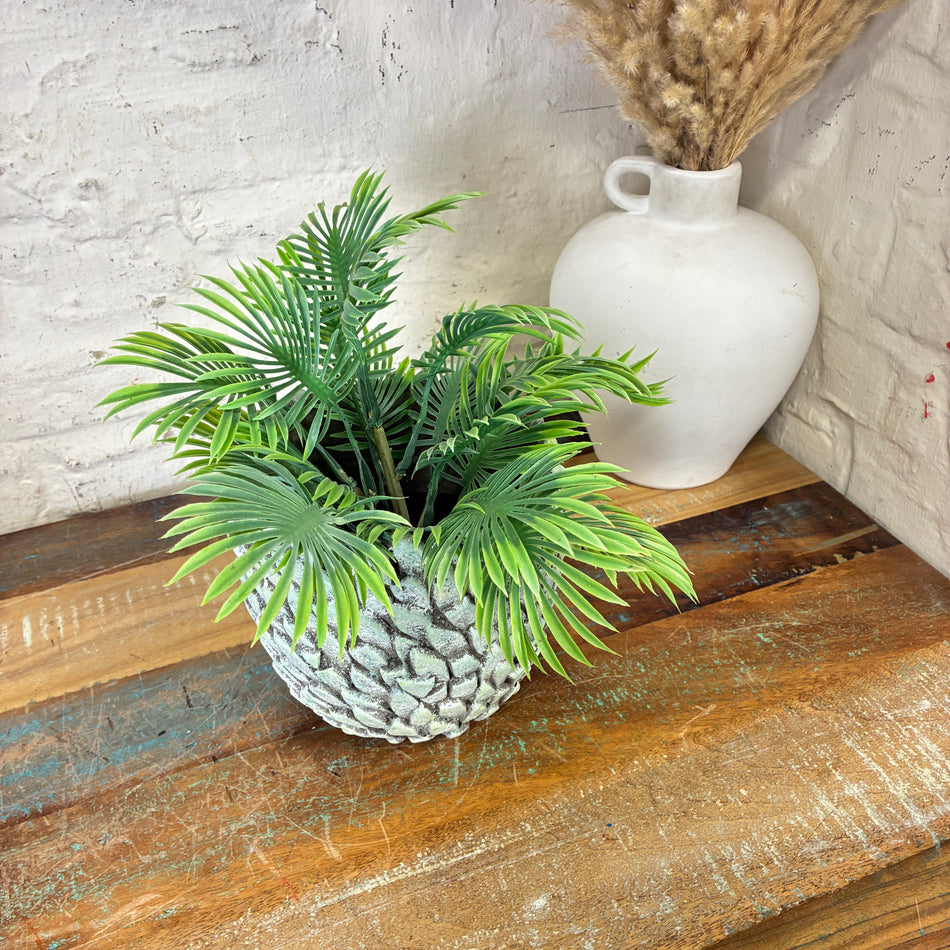 PTMD Blumentopf Storma L grau Zement 17cm