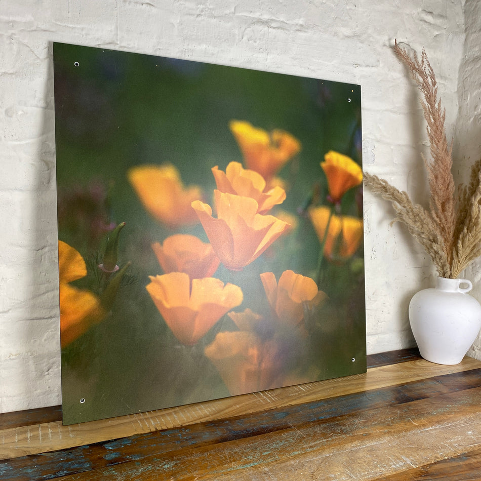 Bild Blume gelb Mohn 70x70 Wandbild Deko Fotodruck Natur