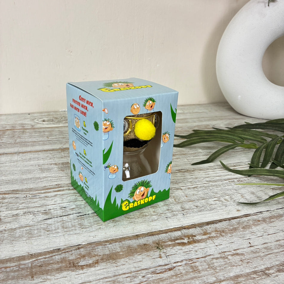 Graskopf Im Glas Gelb 12cm Gesicht Pflanze Pflanz-Set Grasgesicht Deko