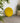 Moosbild Wandpaneel gelb 60cm Kreis natürlich