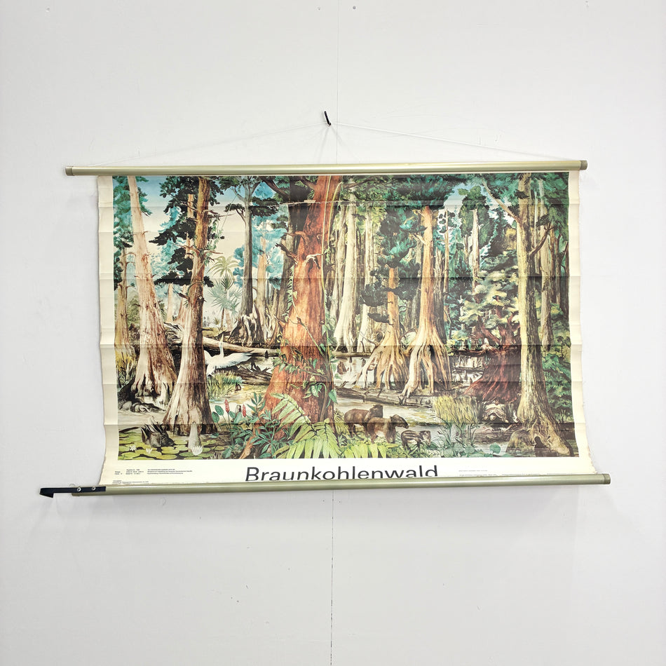 Vintage Schulkarte Braunkohlenwald Urzeit Rollbild Volk und Wissen Lehrtafel Wanddeko