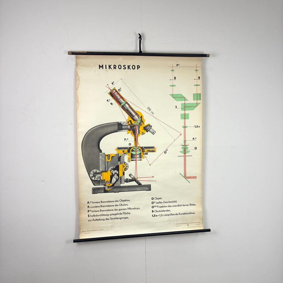 Vintage Schulkarte – Mikroskop – Physik Lehrtafel Rollbild Wanddeko