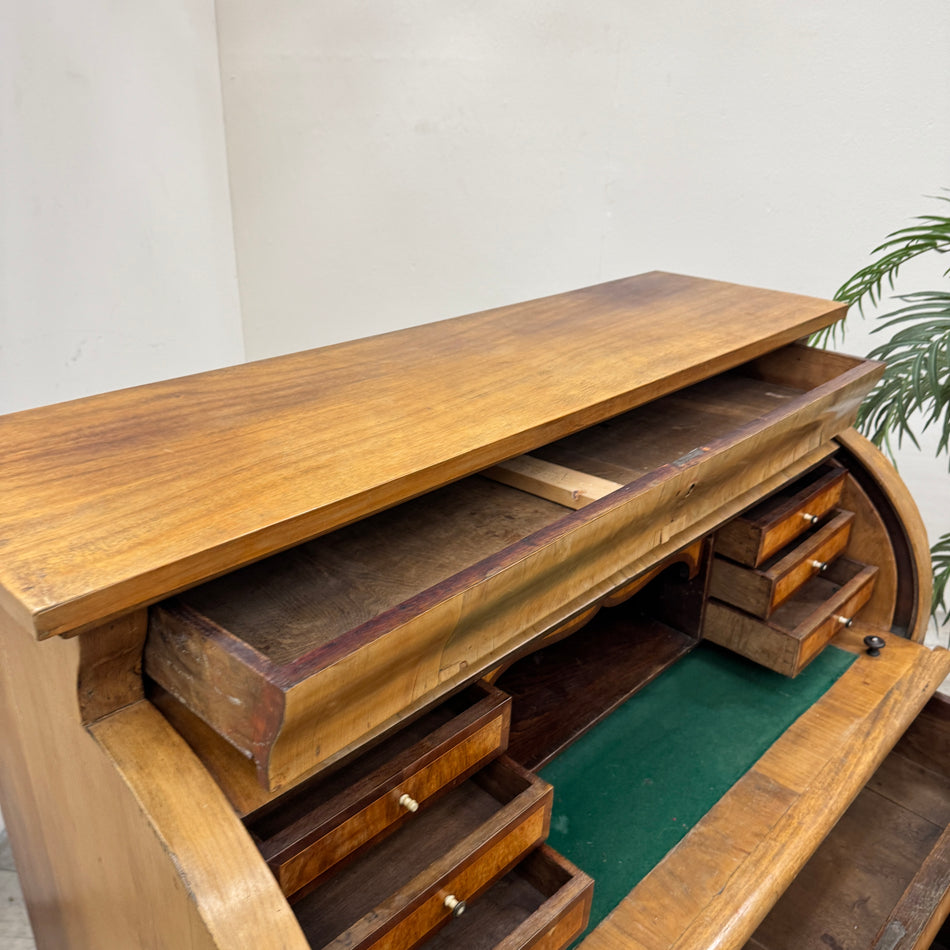 Biedermeier Sekretär Zylinderschreibtisch Rollbüro Ulme 1. Hälfte 19. Jh. Antik Vintage