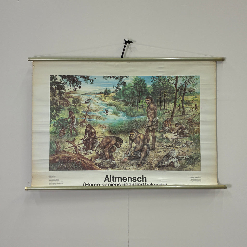 Vintage Schulkarte Altmensch Neandertaler Steinzeit Rollbild DDR Wanddeko