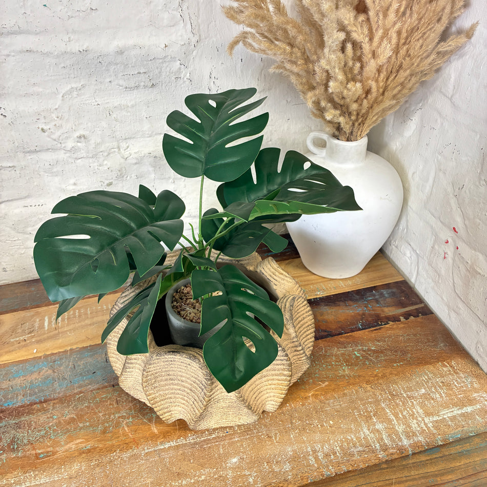 PTMD Blumentopf Waxy braun Zement 25cm