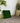 Moosbild Wandpaneel grün 40x40 natürlich