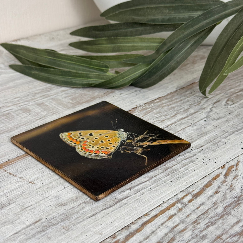 Untersetzer Schmetterling Perlmutterfalter Holz Quadratisch 10x10 Deko Küchenbedarf