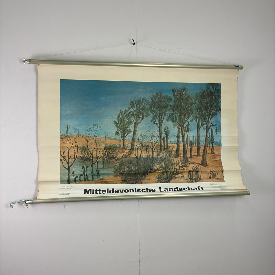 Vintage Schulkarte Mitteldevonische Landschaft Urzeit Rollbild Lehrtafel Wanddeko