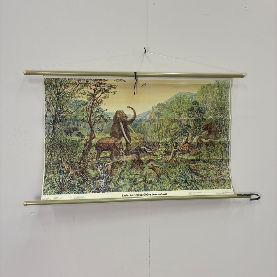 Vintage Schulkarte Zwischeneiszeitliche Landschaft Mammut Rollbild DDR Wanddeko