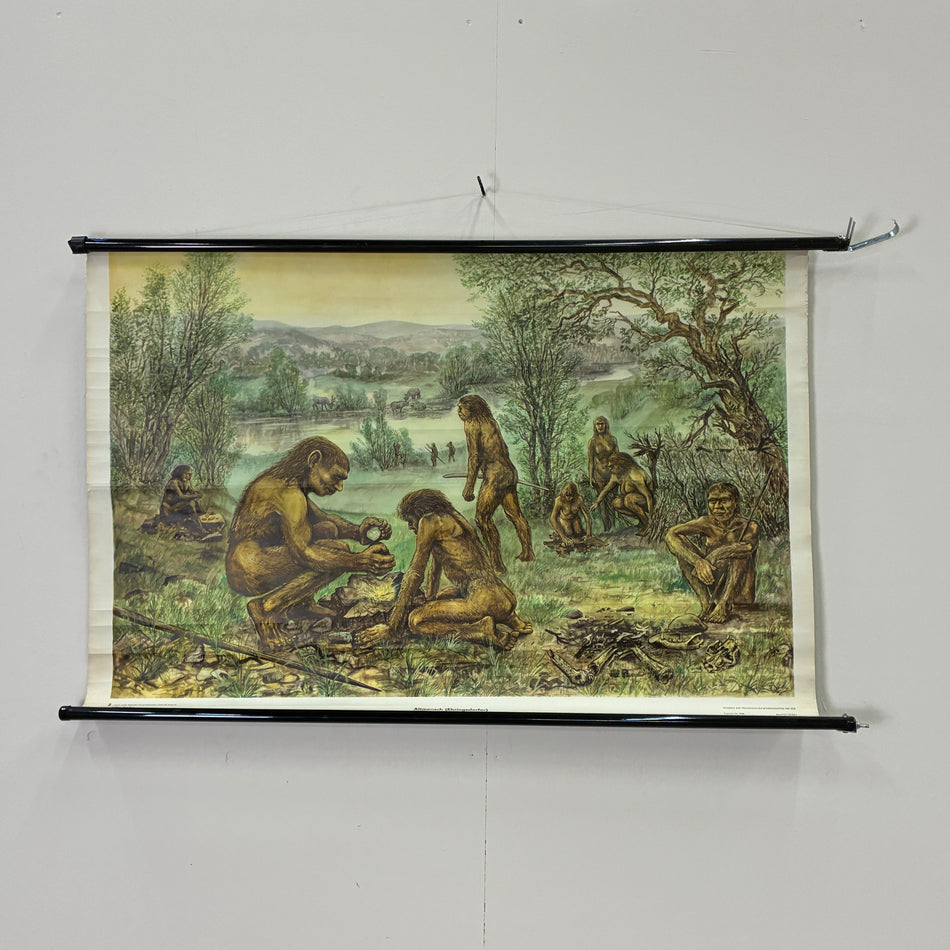 Vintage Schulkarte Urmenschen Neandertaler Steinzeit Rollbild Lehrtafel DDR Wanddeko