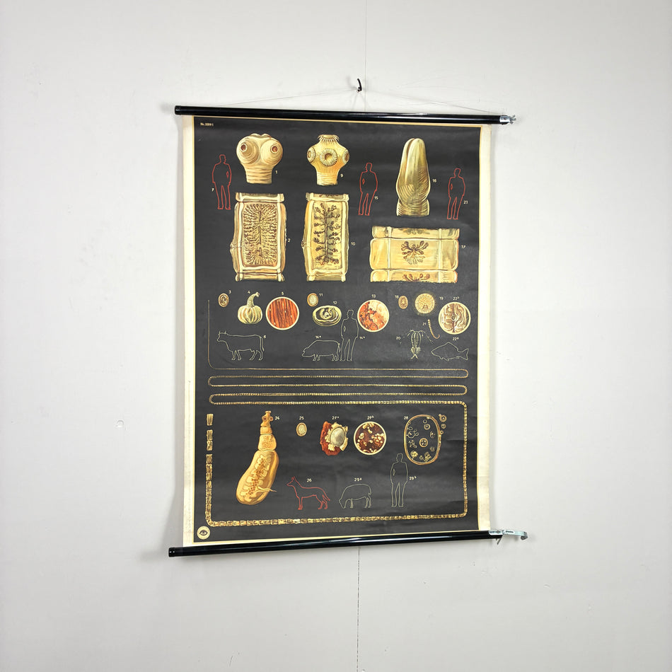 Vintage Schulkarte – Antike Kulturen (Sumer) – Geschichts-Lehrtafel Rollbild Wanddeko
