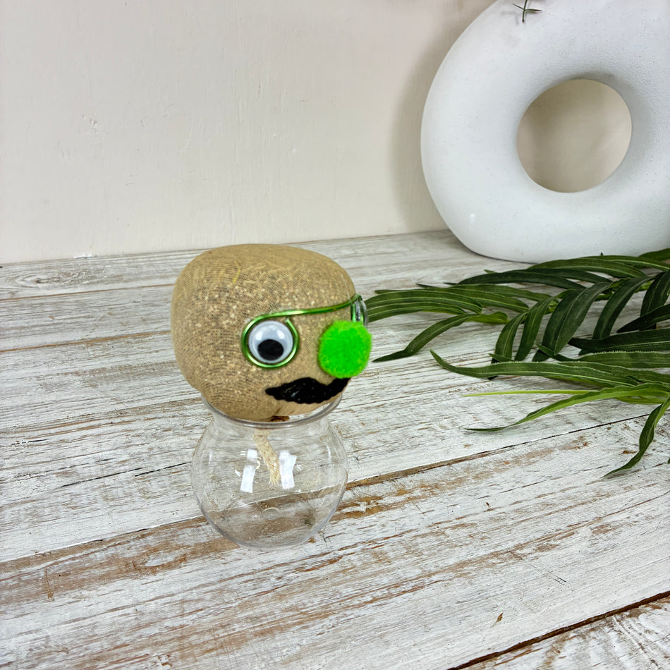 Graskopf Im Glas Grün 12cm Gesicht Pflanze Pflanz-Set Grasgesicht Deko
