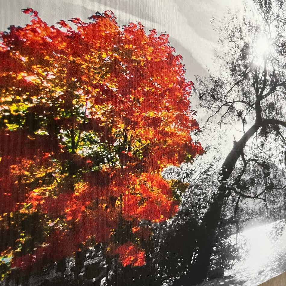 Wandbild gebraucht schwarz weiß rot Leinwand Fotodruck 150x50 Bild