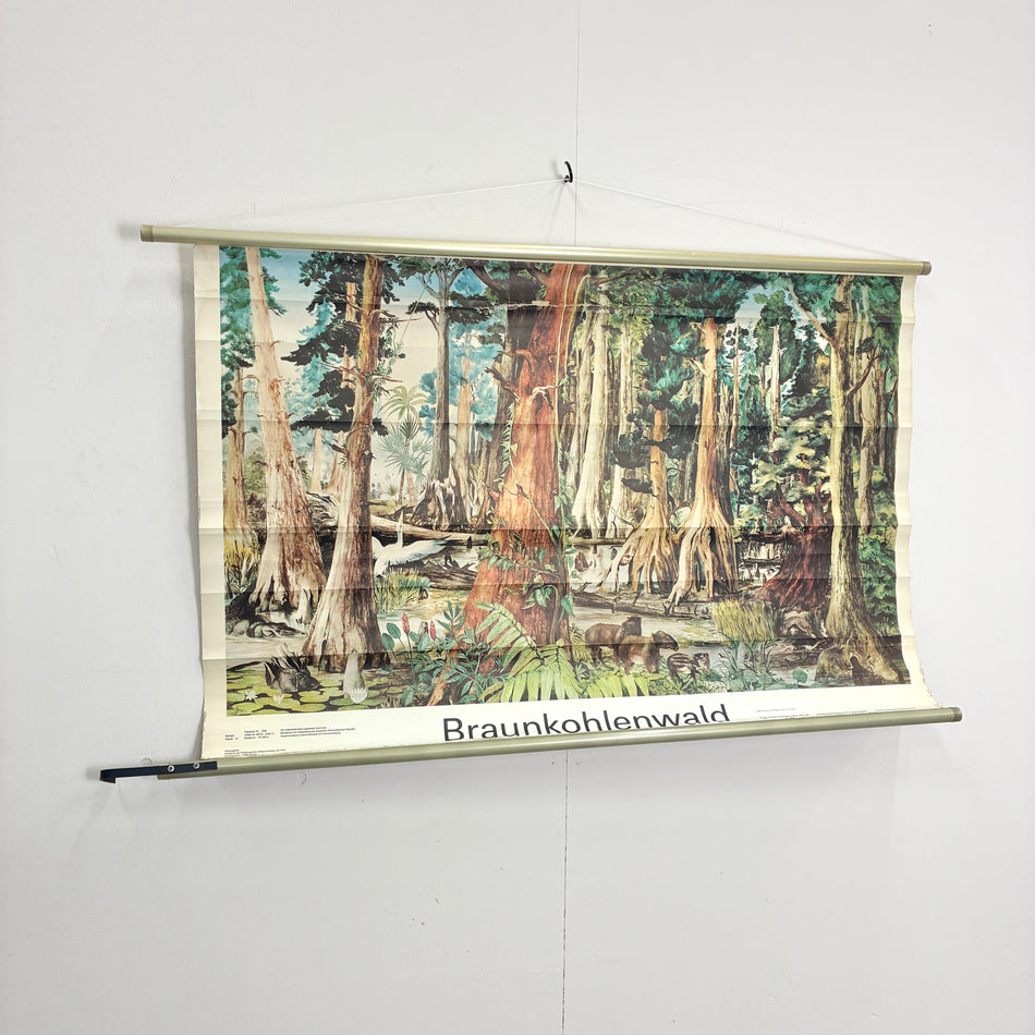 Vintage Schulkarte Braunkohlenwald Urzeit Rollbild Volk und Wissen Lehrtafel Wanddeko