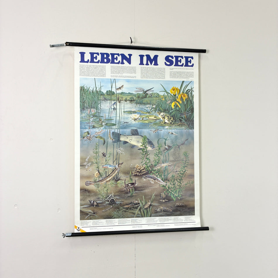 Vintage Schulkarte - Leben im See - Rollbild Lehrtafel Wanddeko
