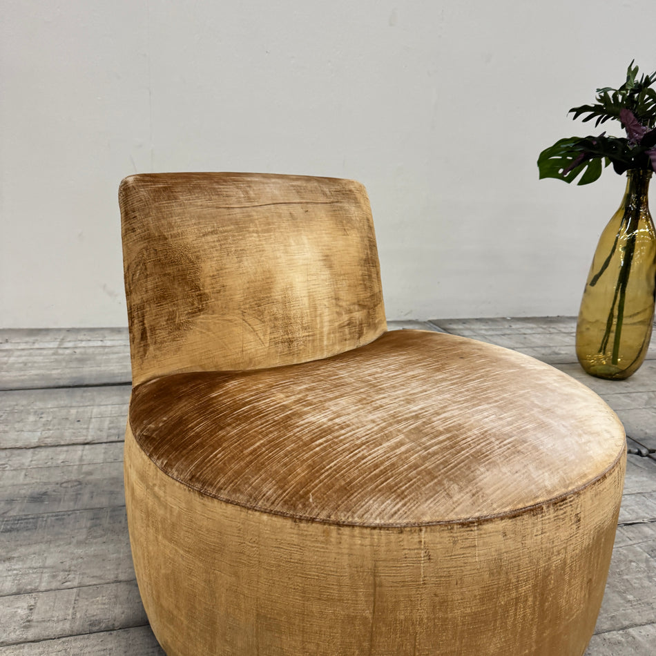 Tacchini Italia Designer Lounge Sessel Samt Senfgelb / Ocker Gebraucht