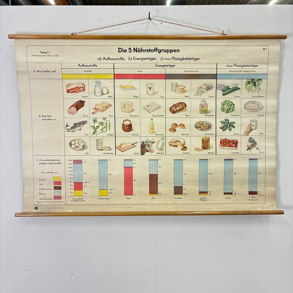 Vintage School Chart – The Nutrient Groups – Biology Medicine Educational Chart Roll, Used