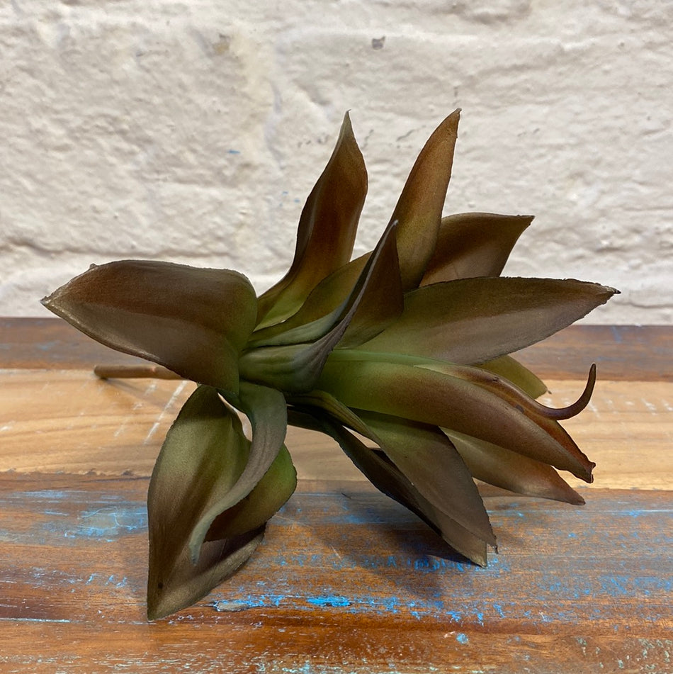 Fink Kunstpflanze Echeveria braun grün