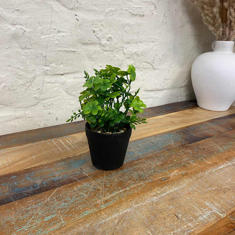 Kunstpflanze Klee im Topf grün schwarz 18 cm Deko
