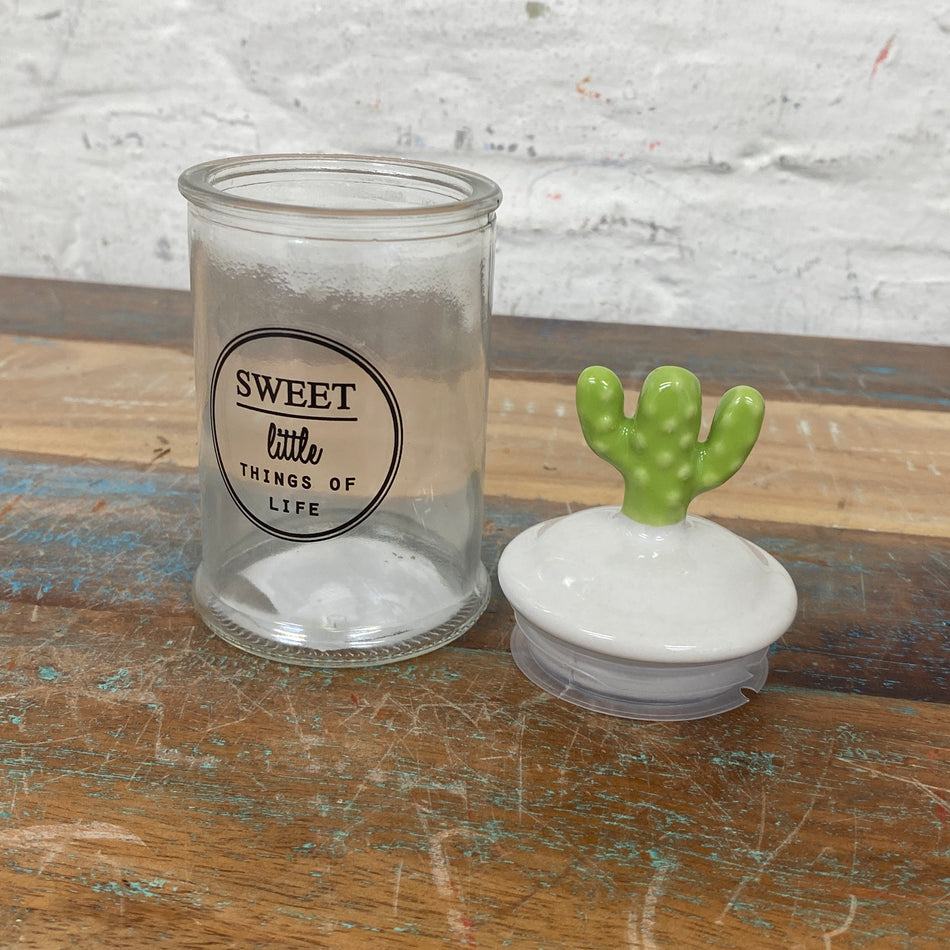 Vorratsglas mit Deckel Kaktus Aufbewahrung 13cm
