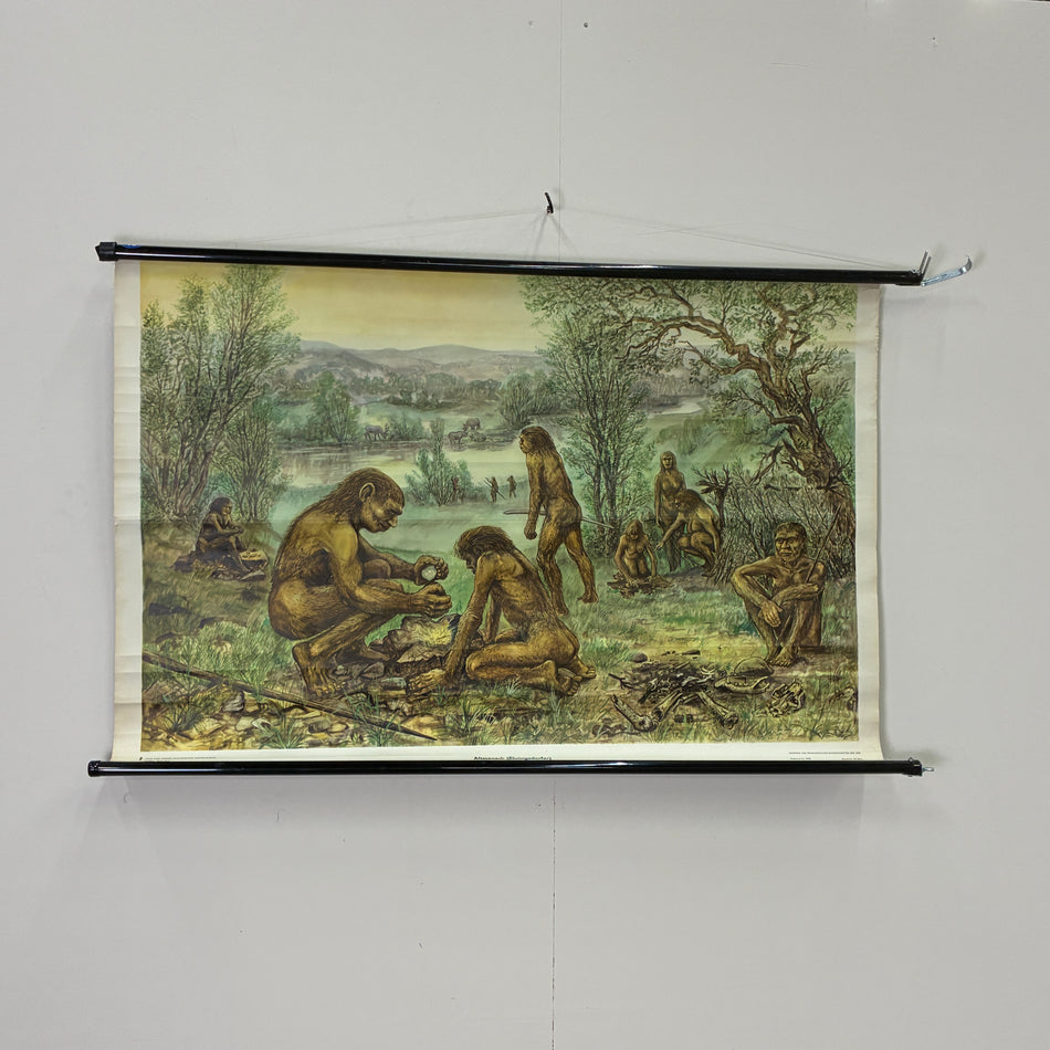Vintage Schulkarte Urmenschen Neandertaler Steinzeit Rollbild Lehrtafel DDR Wanddeko