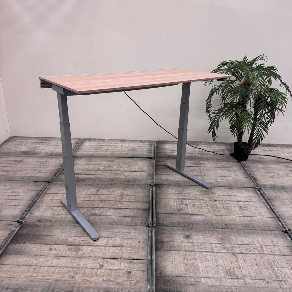 VS Schreibtisch Holzoptik Grau Elektrisch Höhenverstellbar Gebraucht