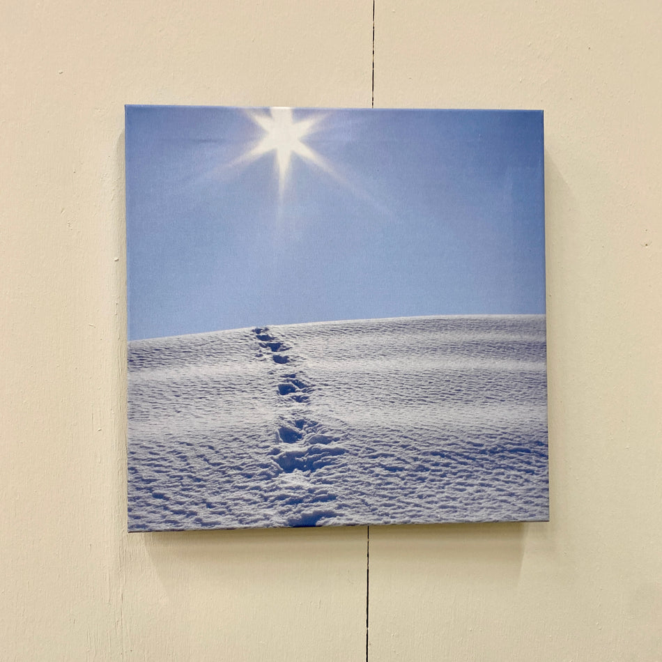 Wandbild Schneespuren Winter Leinwand Fotodruck Deko Gebraucht