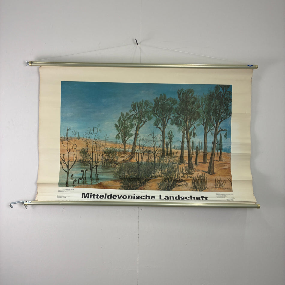 Vintage Schulkarte Mitteldevonische Landschaft Urzeit Rollbild Lehrtafel Wanddeko