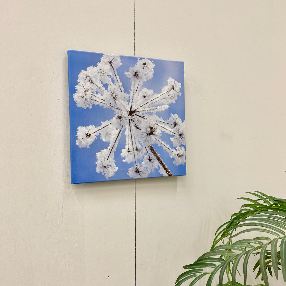 Wandbild Frost Blume Winter Leinwand Naturmotiv Fotodruck Deko Gebraucht