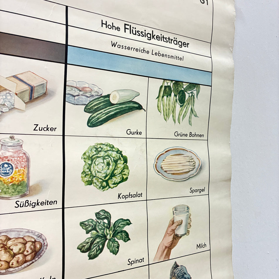 Vintage School Chart – The Nutrient Groups – Biology Medicine Educational Chart Roll, Used