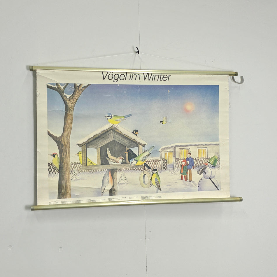 Vintage Schulkarte Vögel im Winter Rollbild Biologie Lehrtafel Wanddeko