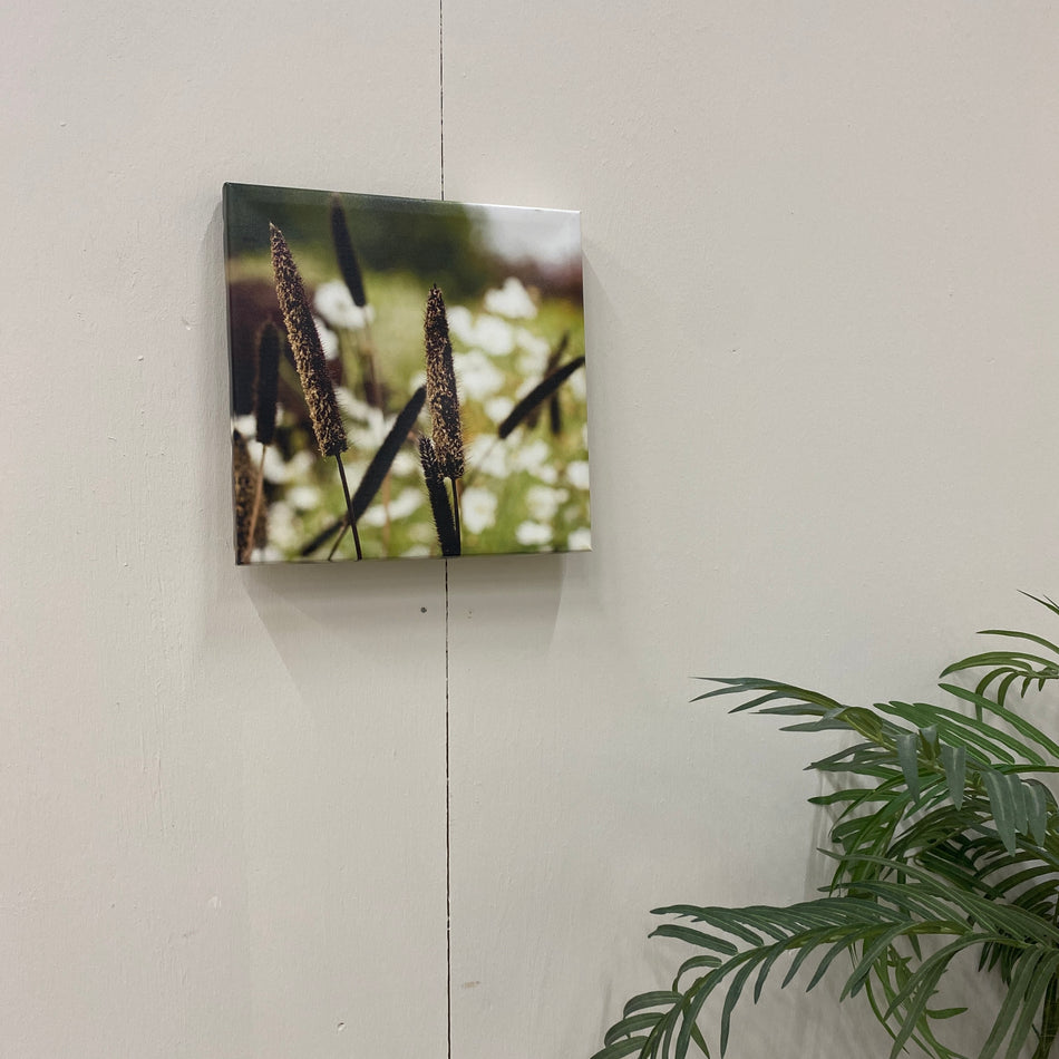 Wandbild Leinwand 40x40 Süßgras Fotodruck Natur Deko